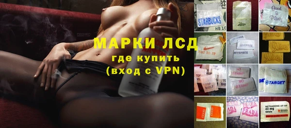 стаф Баксан