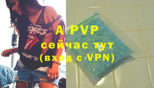 стаф Баксан