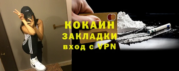 стафф Россошь