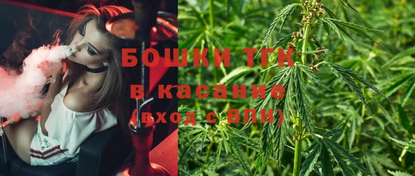 стаф Баксан