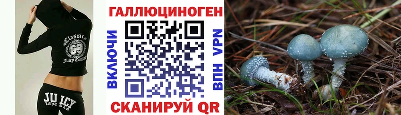 Галлюциногенные грибы Cubensis  мега маркетплейс  Верхняя Тура 